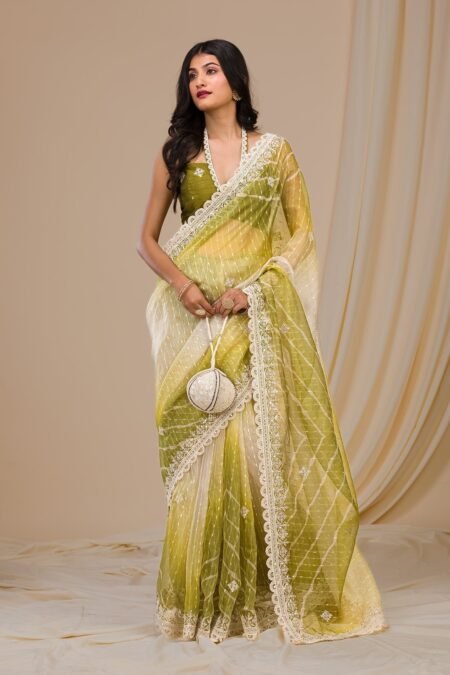 Mehendi Gotapatti Net Saree